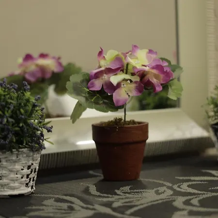 Alexandra Apartment